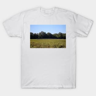 Hay Bales In Field T-Shirt